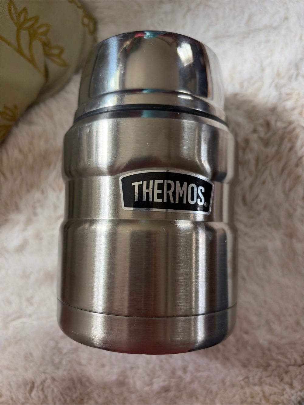 Thermos Stainless Steel Food Jar in Brushed Silver